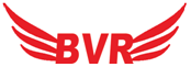 Bhave Electric