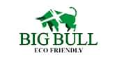 Big Bull