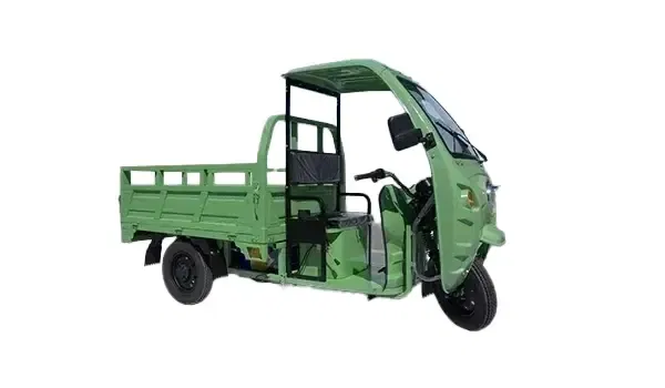 Raftaar Electric Zoravar-LDR Raftaar Electric Zoravar-LDR