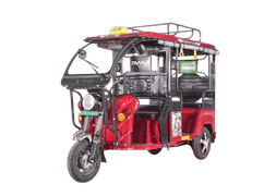 Zelio Tanga Butterfly Zelio Tanga Butterfly