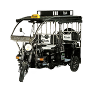 E-Sathi S.S. DLX-image