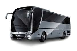 मैन लायन मैन लायन