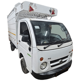used-ace-gold-cng-plus-image
