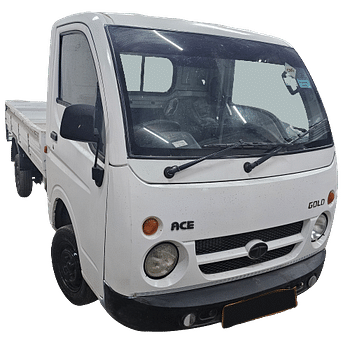 used-ace-gold-cng-plus-image