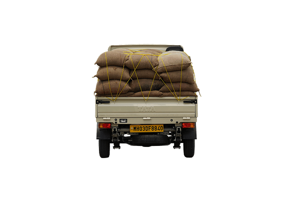Tata Ace Gold Plus