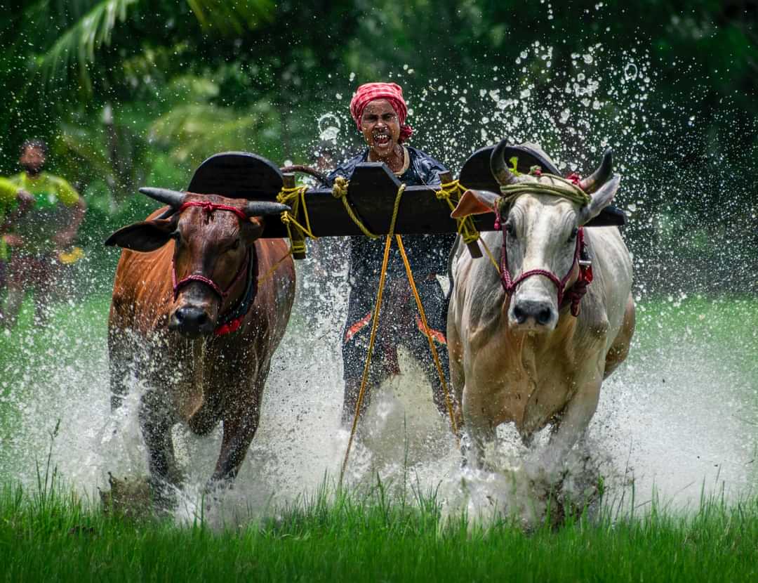 जुलाई में इन 5 सब्जियों की खेती करने से होगी दोगुनी कमाई