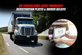 Do Trucks Have Lucky Numbers? Registration Plates & Driver Beliefs